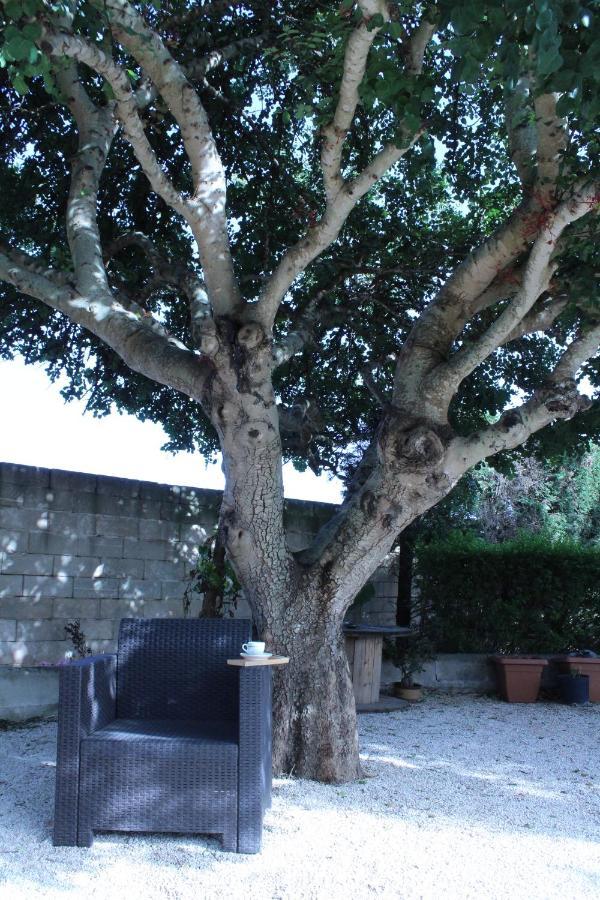 B&B Le Carrube Sava Exterior foto